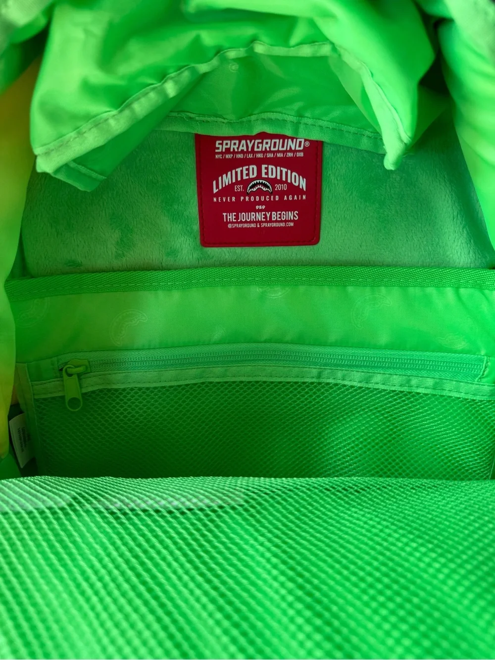 Sprayground Nickelodeon backpack